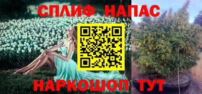 spice Абакан