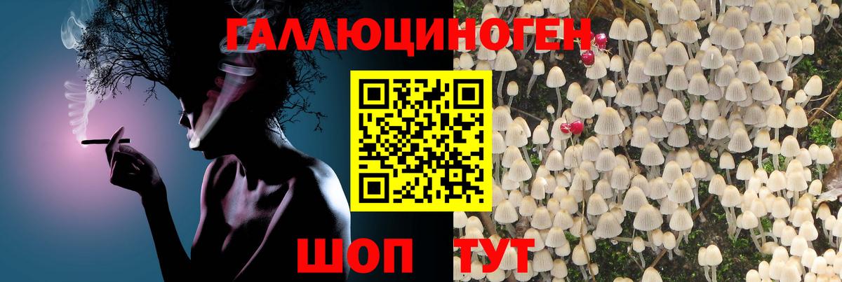 Галлюциногенные грибы MAGIC MUSHROOMS  Галлюциногенные грибы прущие грибы  Алушта  Вход с VPN 